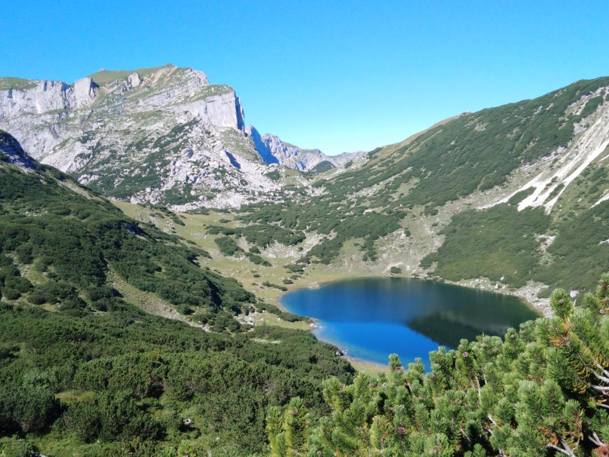 شقة Radfeld  في Bichlerhof المظهر الخارجي الصورة