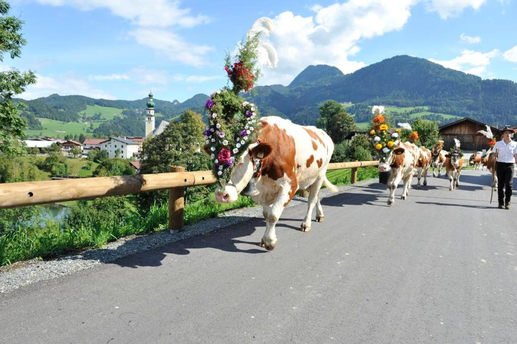 شقة Bichlerhof Radfeld المظهر الخارجي الصورة